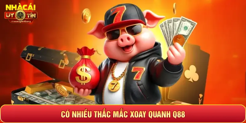 CÓ NHIỀU THẮC MẮC XOAY QUANH Q88