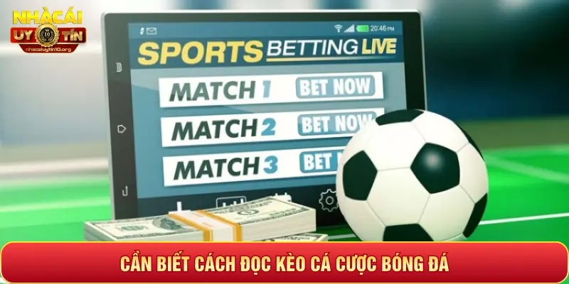 CẦN BIẾT CÁCH ĐỌC KÈO CÁ CƯỢC BÓNG ĐÁ