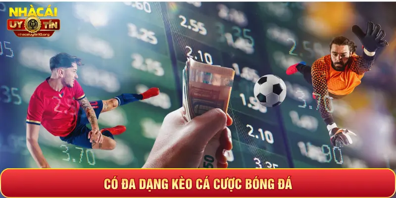 CÓ ĐA DẠNG KÈO CÁ CƯỢC BÓNG ĐÁ