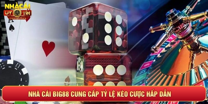 Nhà cái Big88 cung cấp tỷ lệ kèo cược siêu hấp dẫn